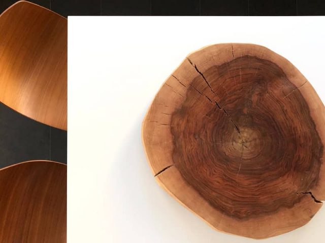 Learn about wood from its growth rings