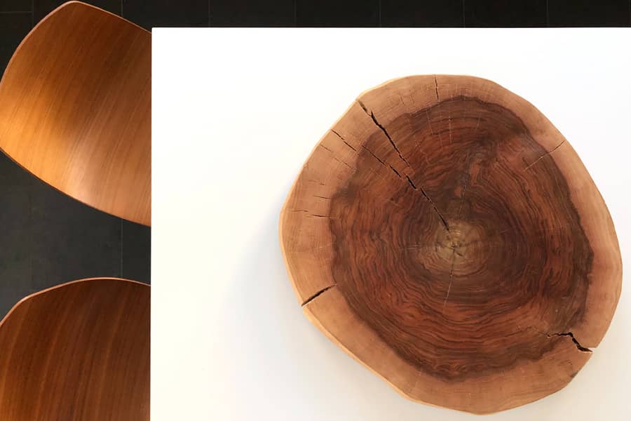 Learn about wood from its growth rings